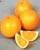 �G�߂̂������̂����͂����܂��I