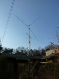 img0005.jpg