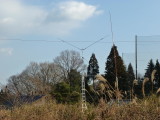 img0008.jpg