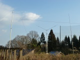 img0014.jpg