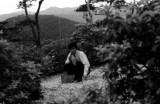 img0001.jpg