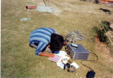 img0005.jpg