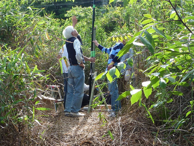 img0016.jpg