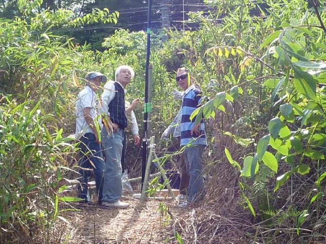 img0017.jpg