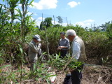 img0007.jpg