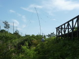 img0011.jpg