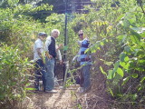 img0017.jpg
