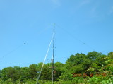 img0053.jpg
