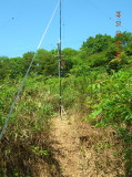 img0054.jpg