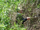 img0055.jpg
