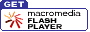 Fiash Player �𖳗��_�E�����[�h���ɍs���I