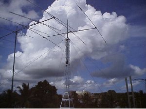 1999-t88jr002.jpg (14455 oCg)