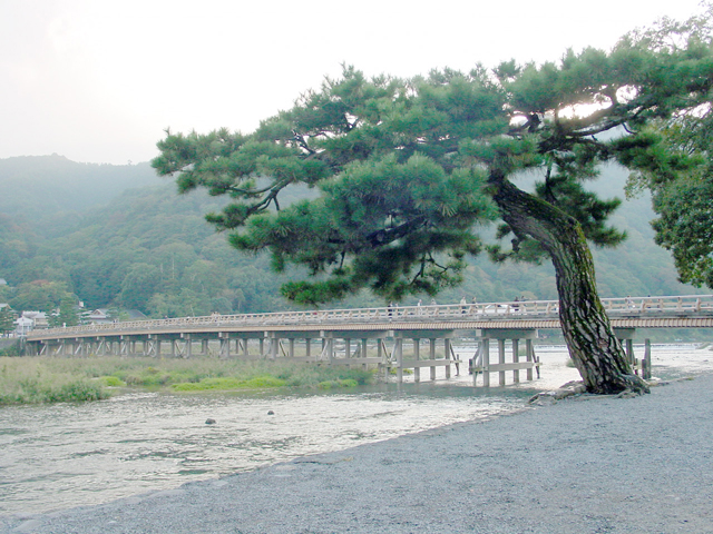 ���R�E�n����