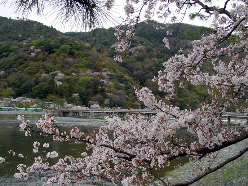 ���R�@�n����