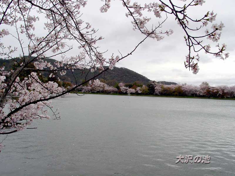 ��o���@���̒r