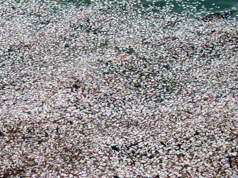 ��o���@���̒r