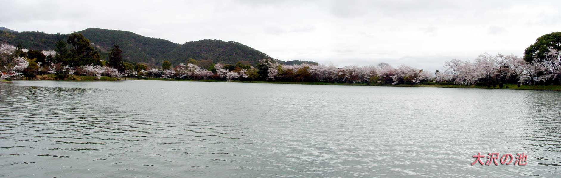 ��o���@���̒r