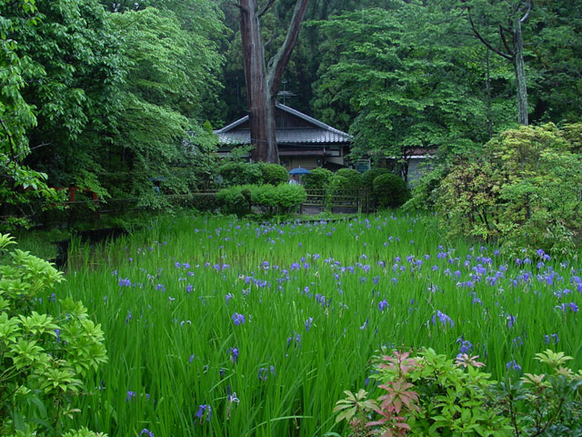 ��c�m��̃J�L�c�o�^�͕������ォ�疼�����A�����r���̘a�̂ɢ�_�R���c�̑�̃J�L�c�o�^�@�ӂ������݂̂́@�F�Ɍ����ޣ�Ƃ���܂��B���N5�����{����������ł��B
