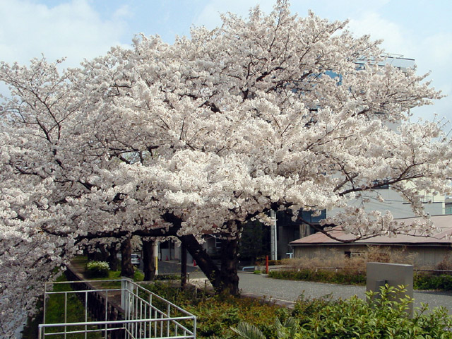 �V�_�썂�Ҋp