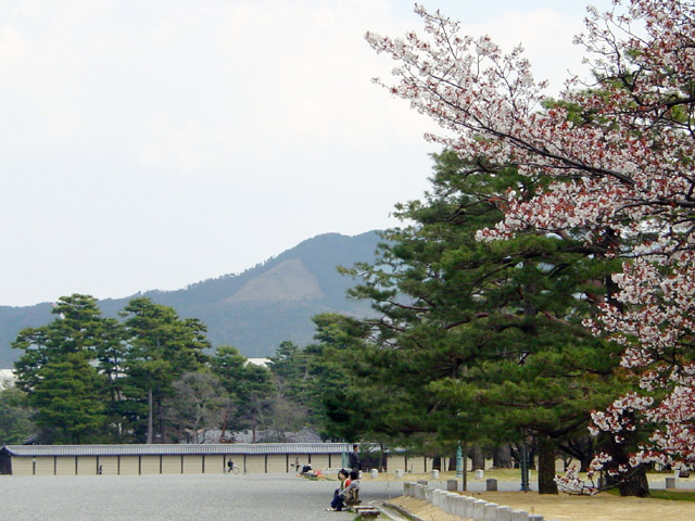 �䏊�@�����t��