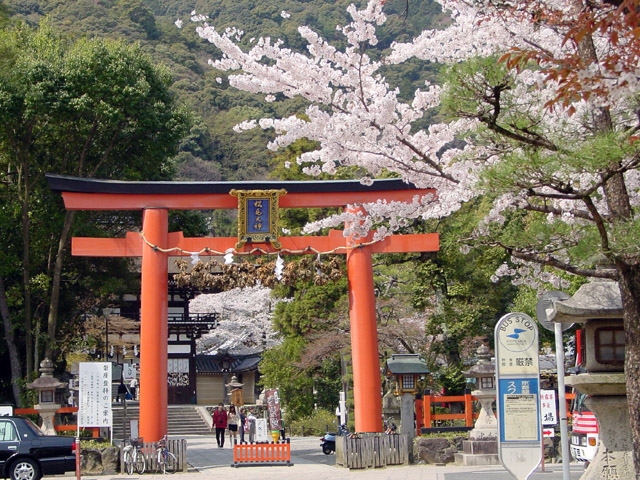 �����_��