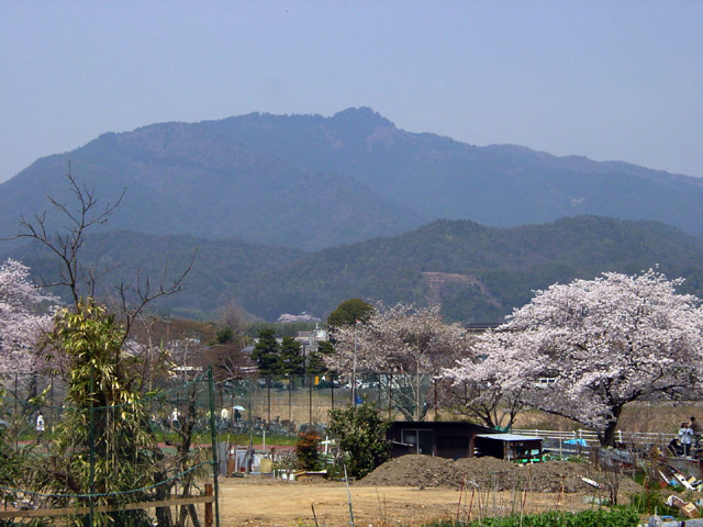 �j��@�����R�ƒ����啶��