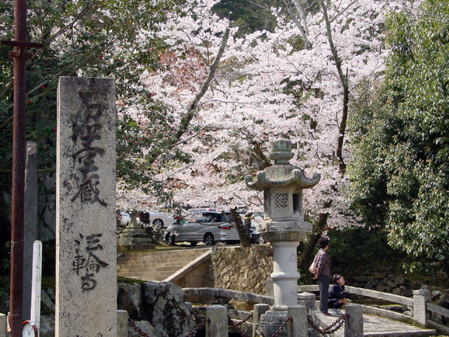 ���R�@�@�֎�