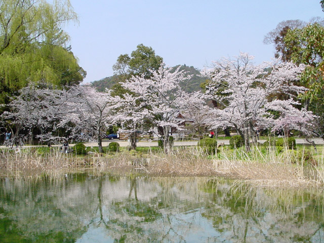 ��o���@���̒r