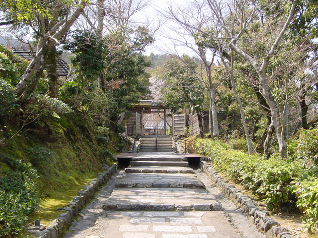 ��������@�O����