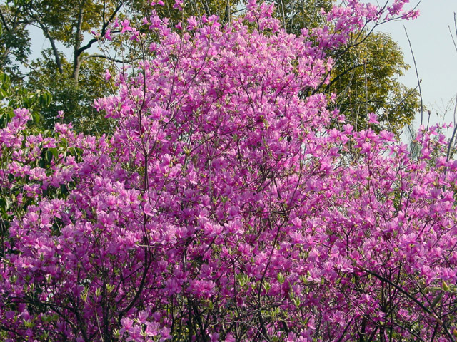 �T�R����