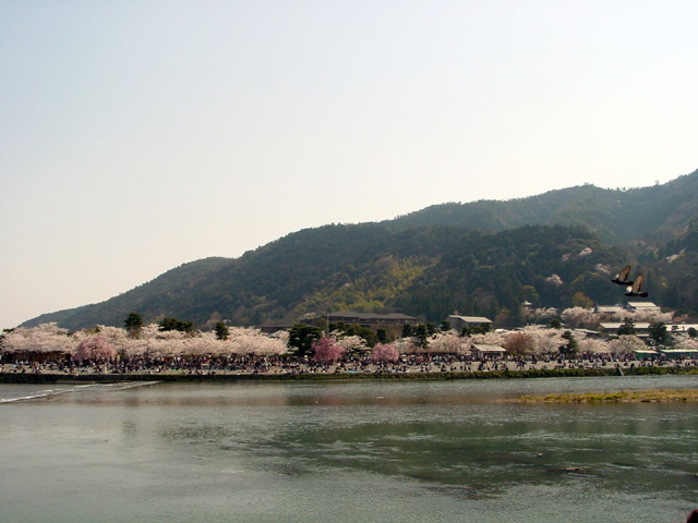 ���m������