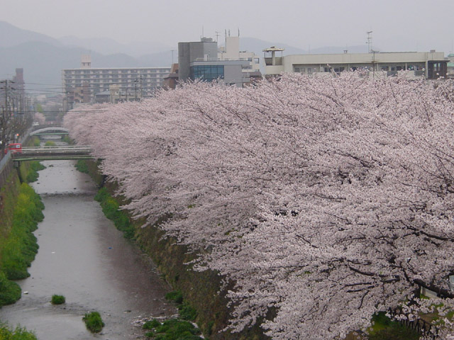 �J�́u�V�_�얜�����v