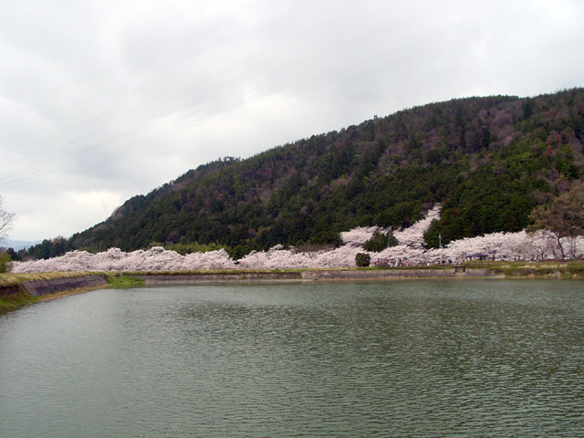 �T���E���J��