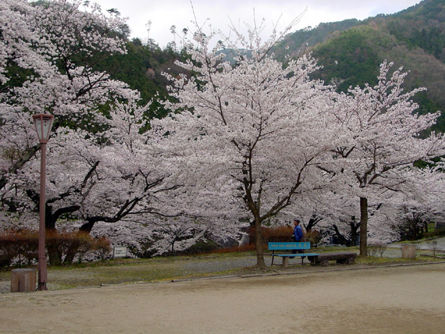 �T���E���J��