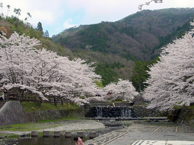 �T���E���J��