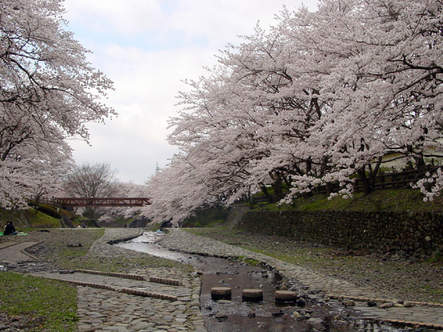 �T���E���J��