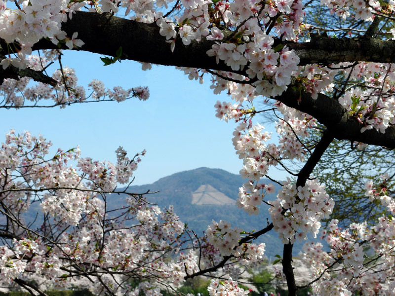 �k��H����������B�e