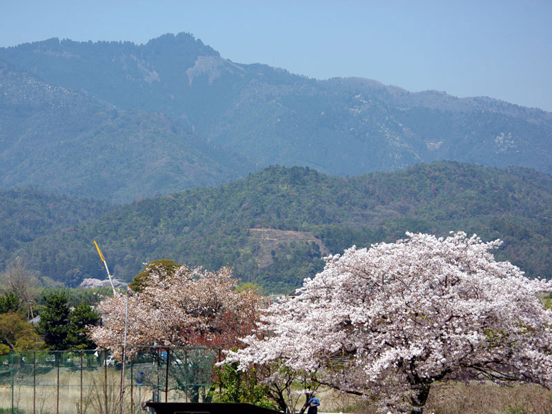 �����䶗��R�́u�����`�v