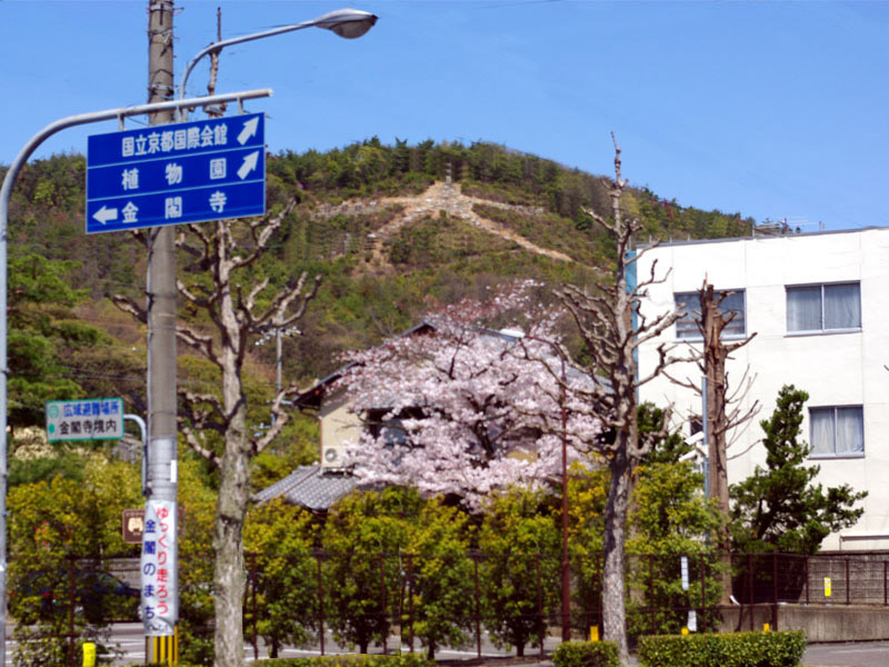 ���t����k�R �́u���啶���v