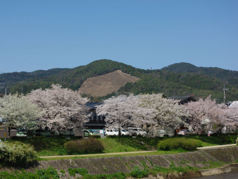 ����ΑD�R�́u�D�`�v�啶��