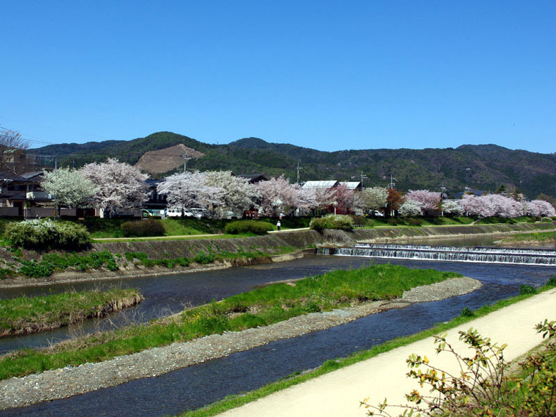 ����ΑD�R�́u�D�`�v�啶��