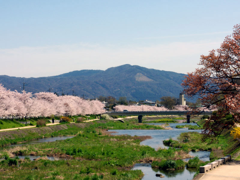 ���R�@�ӃP�Ԃ́u�啶���v