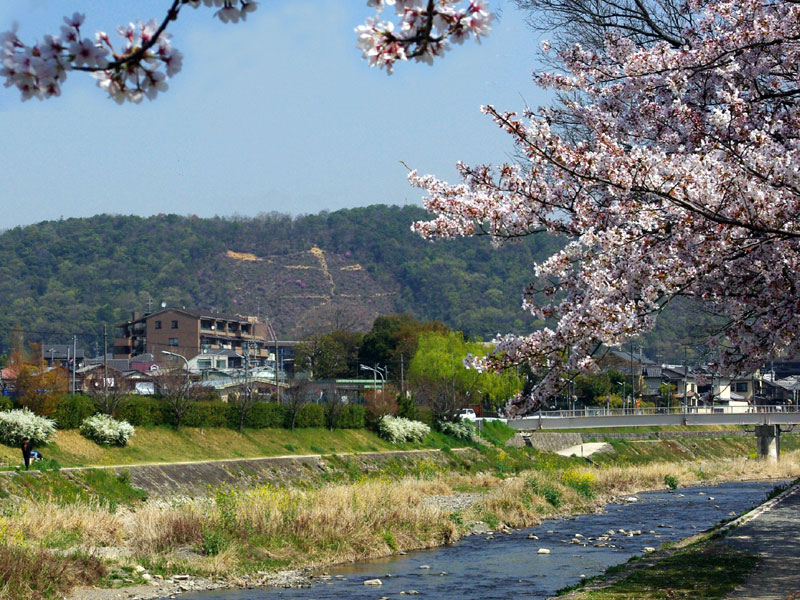 ���싴���u�@�v�啶��