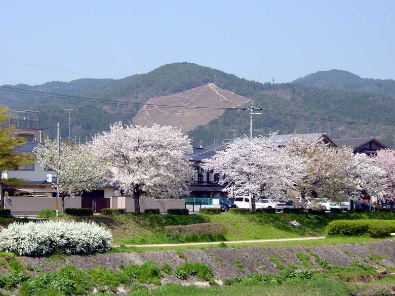 ����ΑD�R�́u�D�`�v�啶��