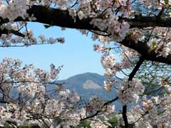 ���ΐ�k��H������