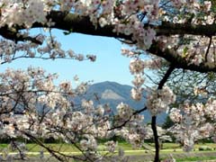 ���ΐ�k��H������