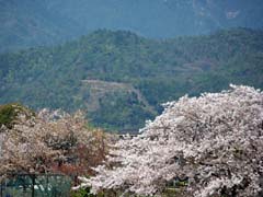 �����啶��