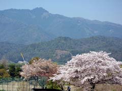 �����啶���@�����R��]�� 