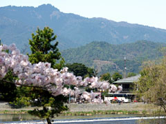 �����啶���@�����R��]�� 