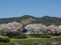 �D�啶���i�䉀���オ��j